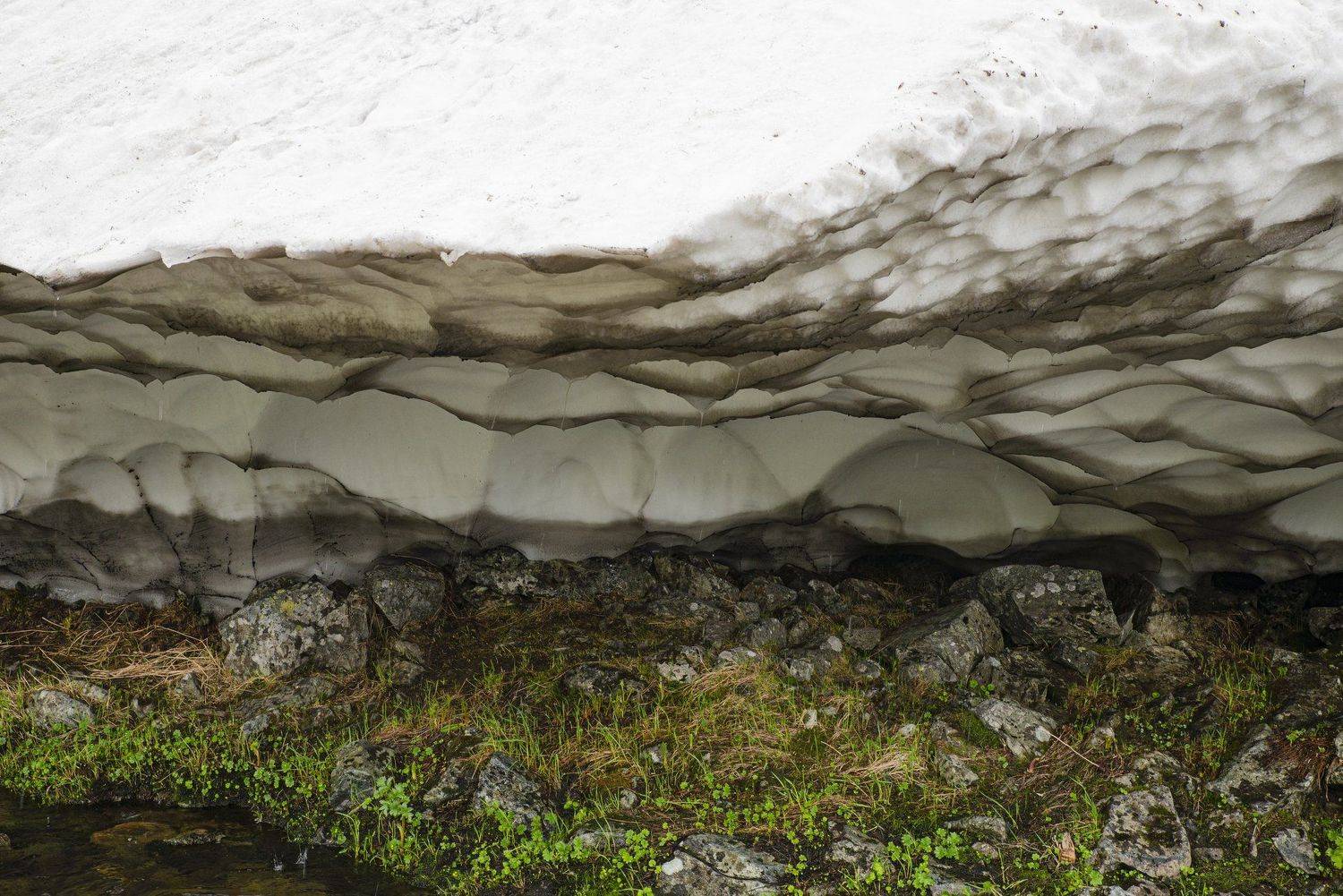 , Ольга Лукахина