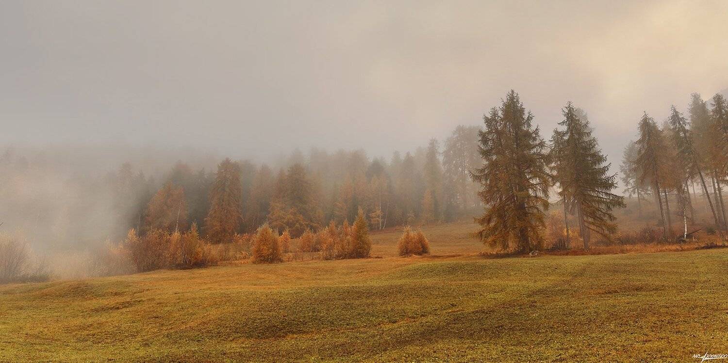 swiss, Матвеев Николай