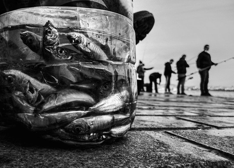 Fishes and fisherman фото превью