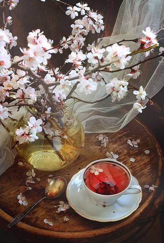 Фруктовый чай