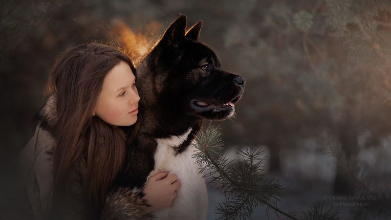 The Bodyguard фото превью