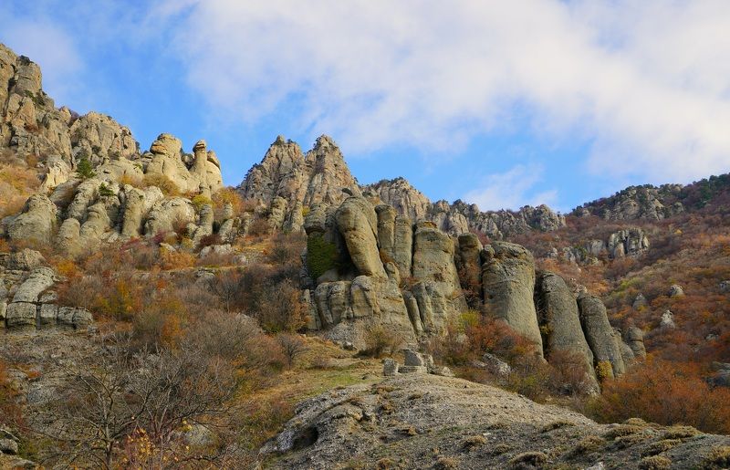 Autumn morning фото превью