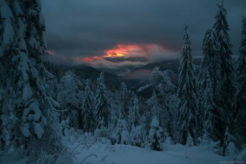 Застыв на мгновение