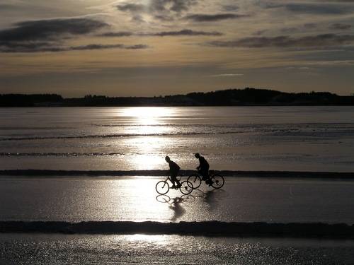 Не дождавшись весны...