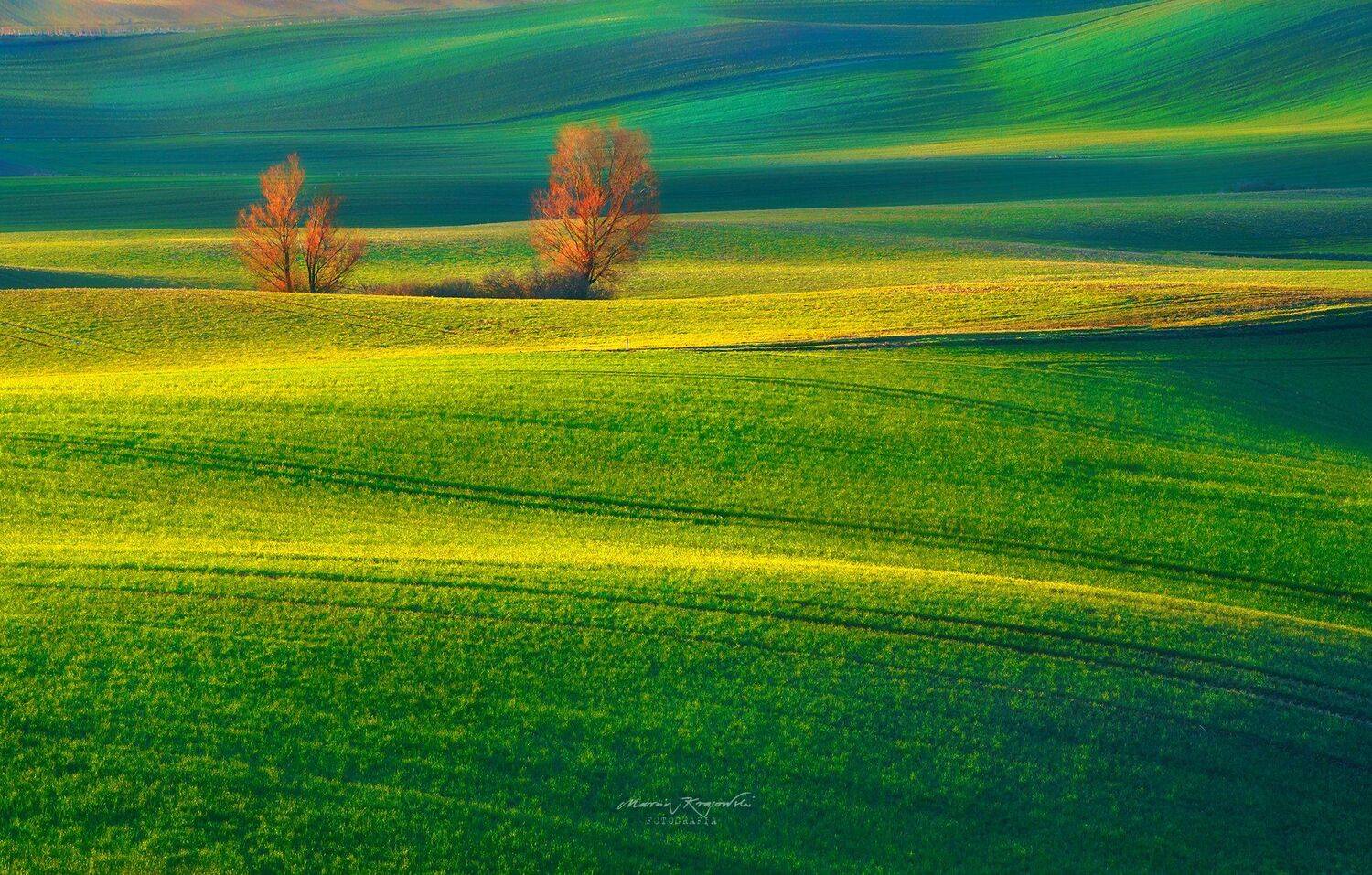 , Marcin Krasowski