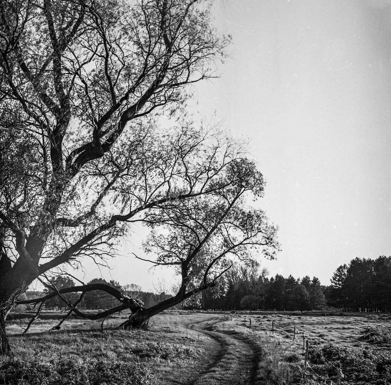 , Денис Храмеев