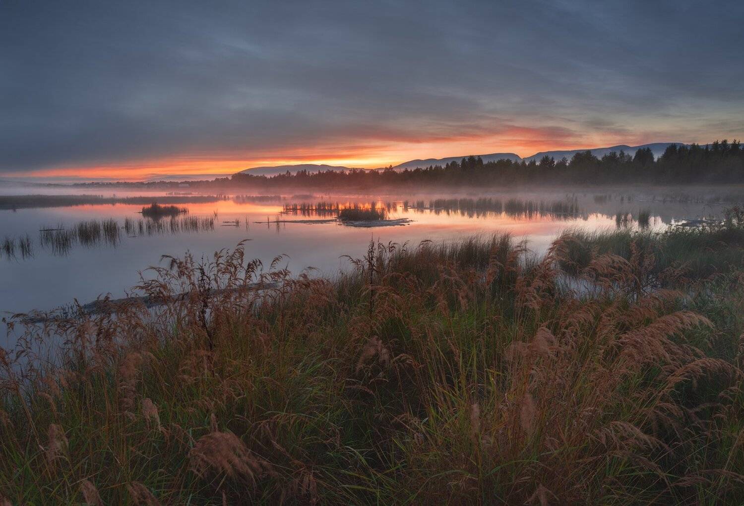 пейзаж,рассвет,кольский,север,осень,цвет,туман,отражение,озеро,хибины,горы, Виталий Истомин