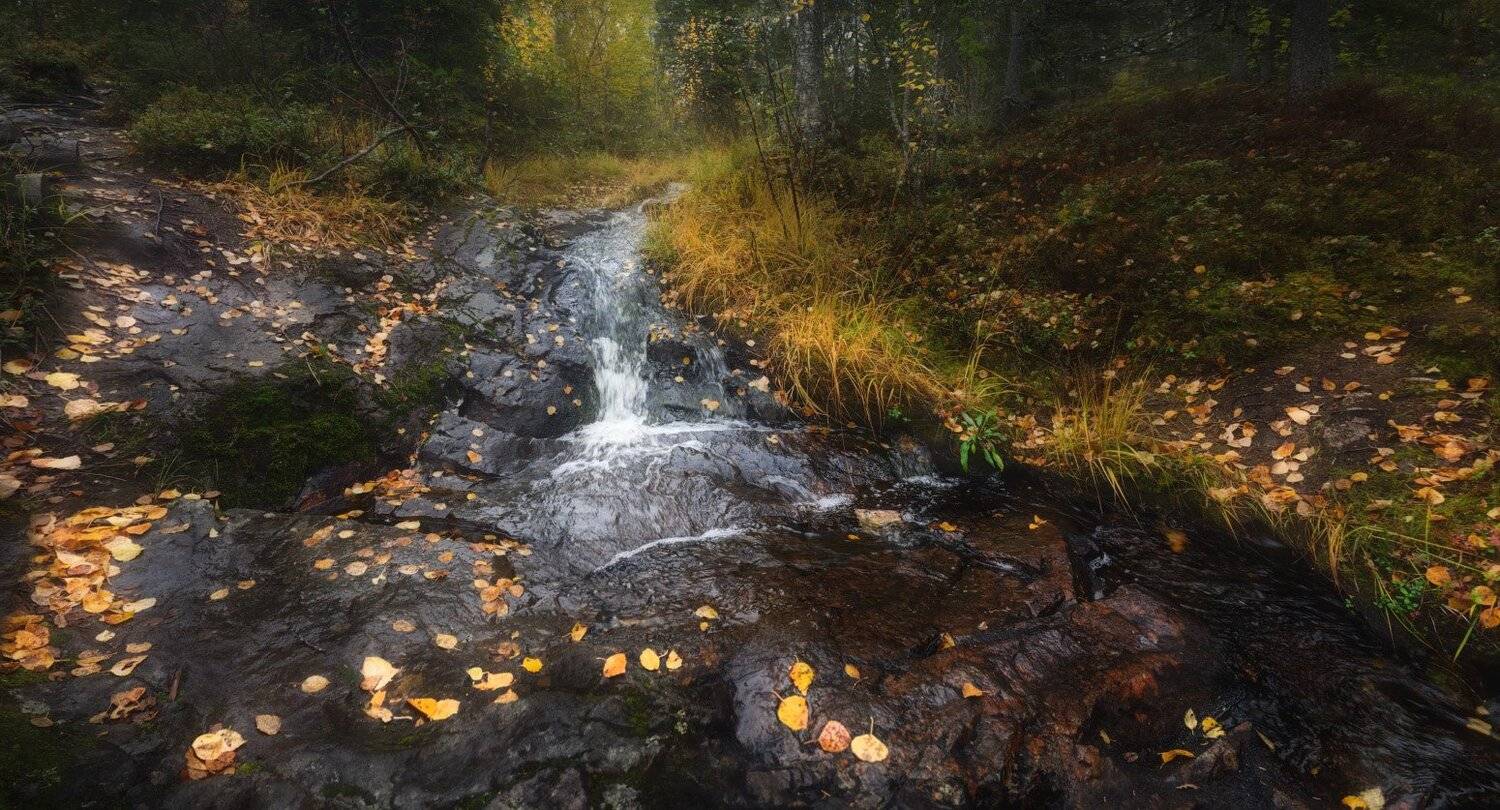 кивакка, паанаярви, карелия, Сергей Кочергин
