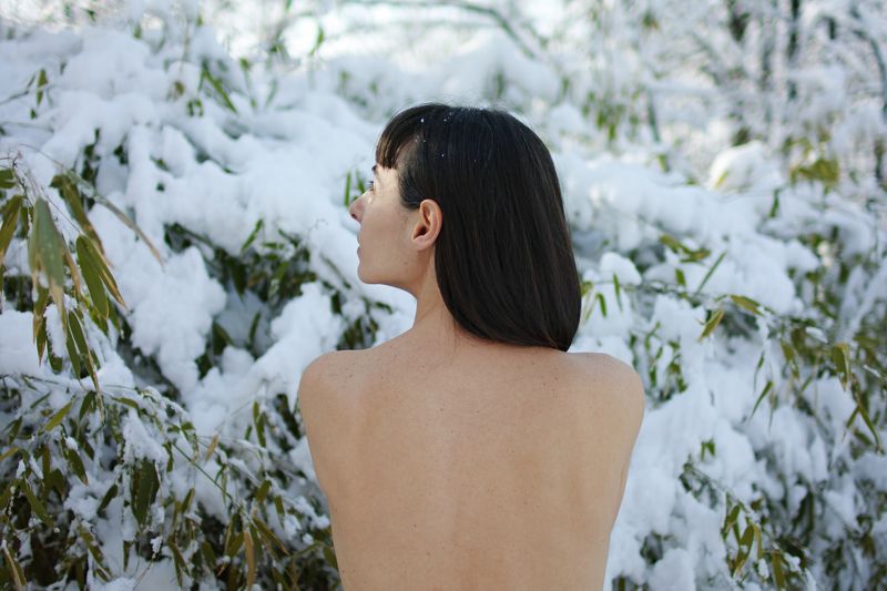 winter bamboo whisper фото превью