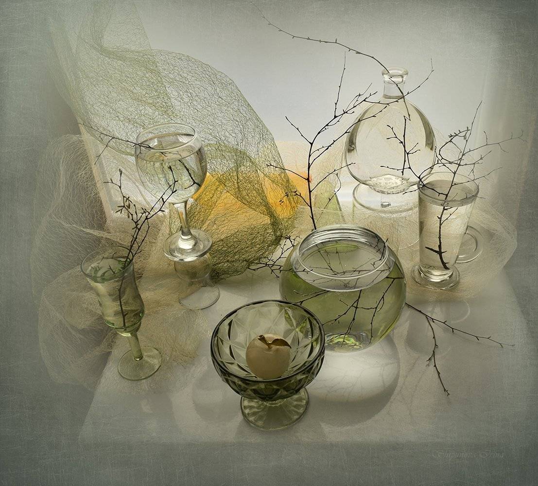 , Шипунова Ирина