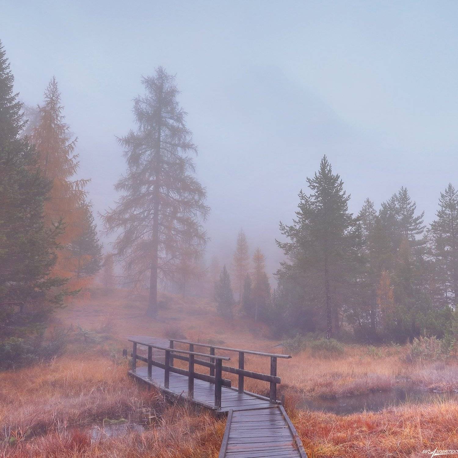 swiss,швейцария,осень,scuol, Матвеев Николай