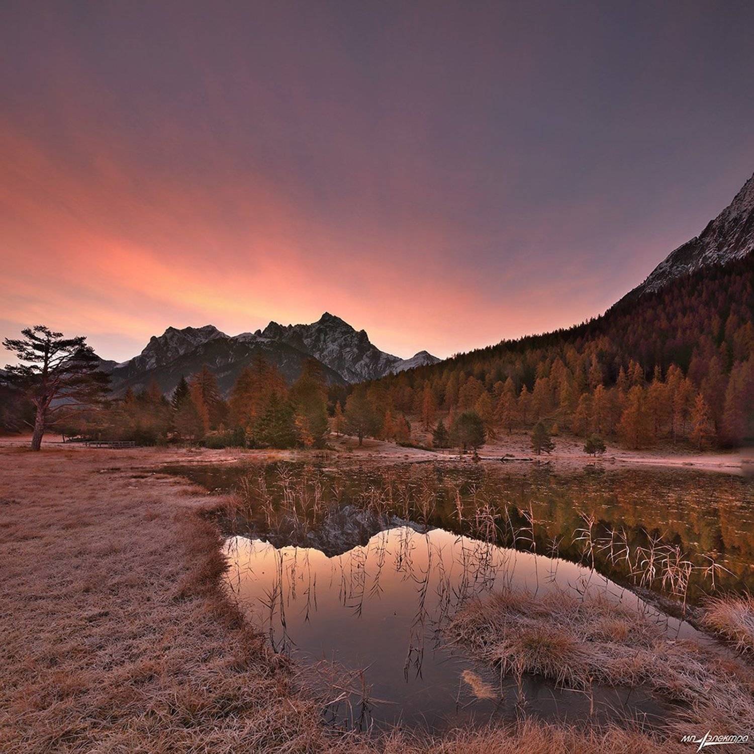 swiss, Матвеев Николай