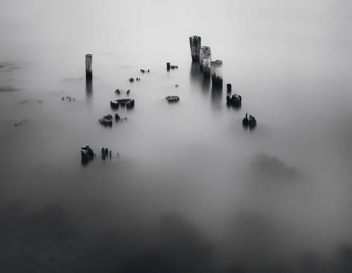 Про выдержку февральского покоя.