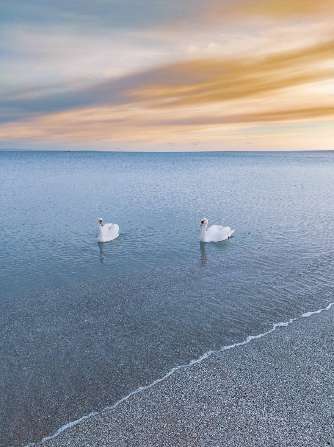 , Андрей Кривцов