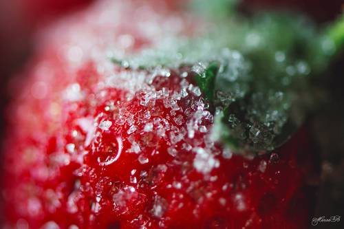 Хрустальная россыпь на красном бархате