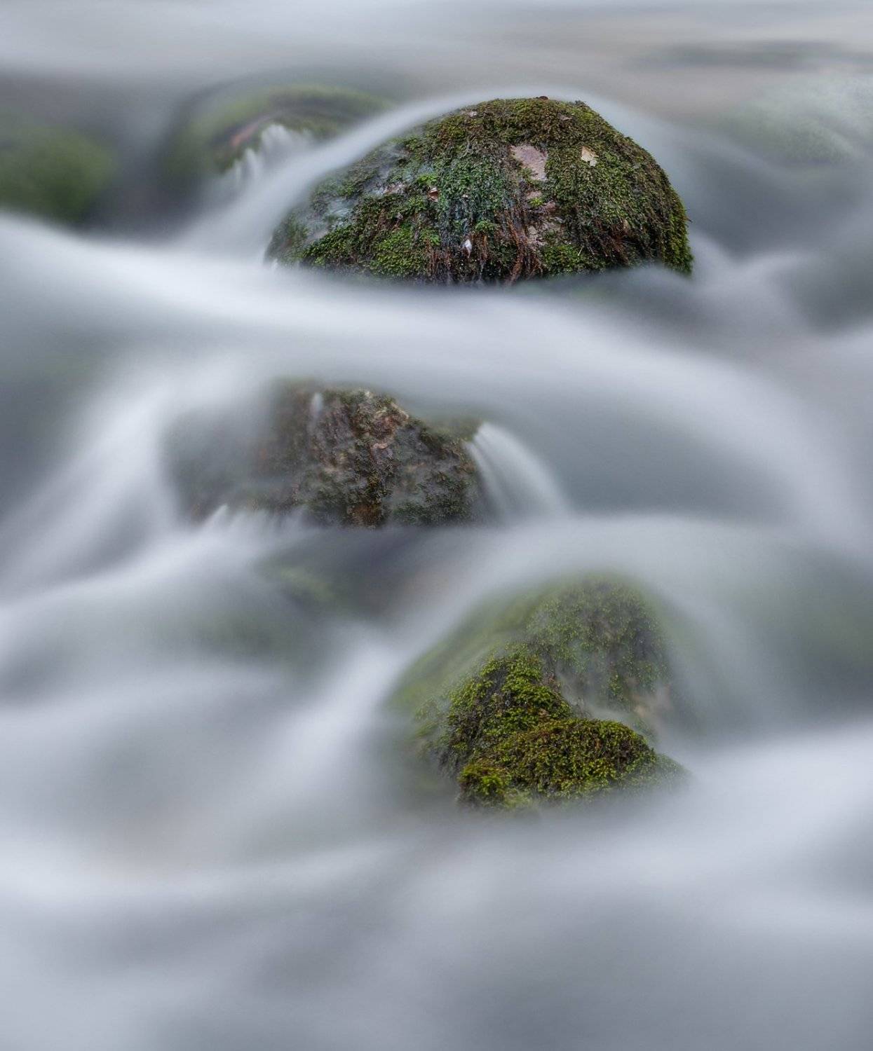 , Михаил Гапонов