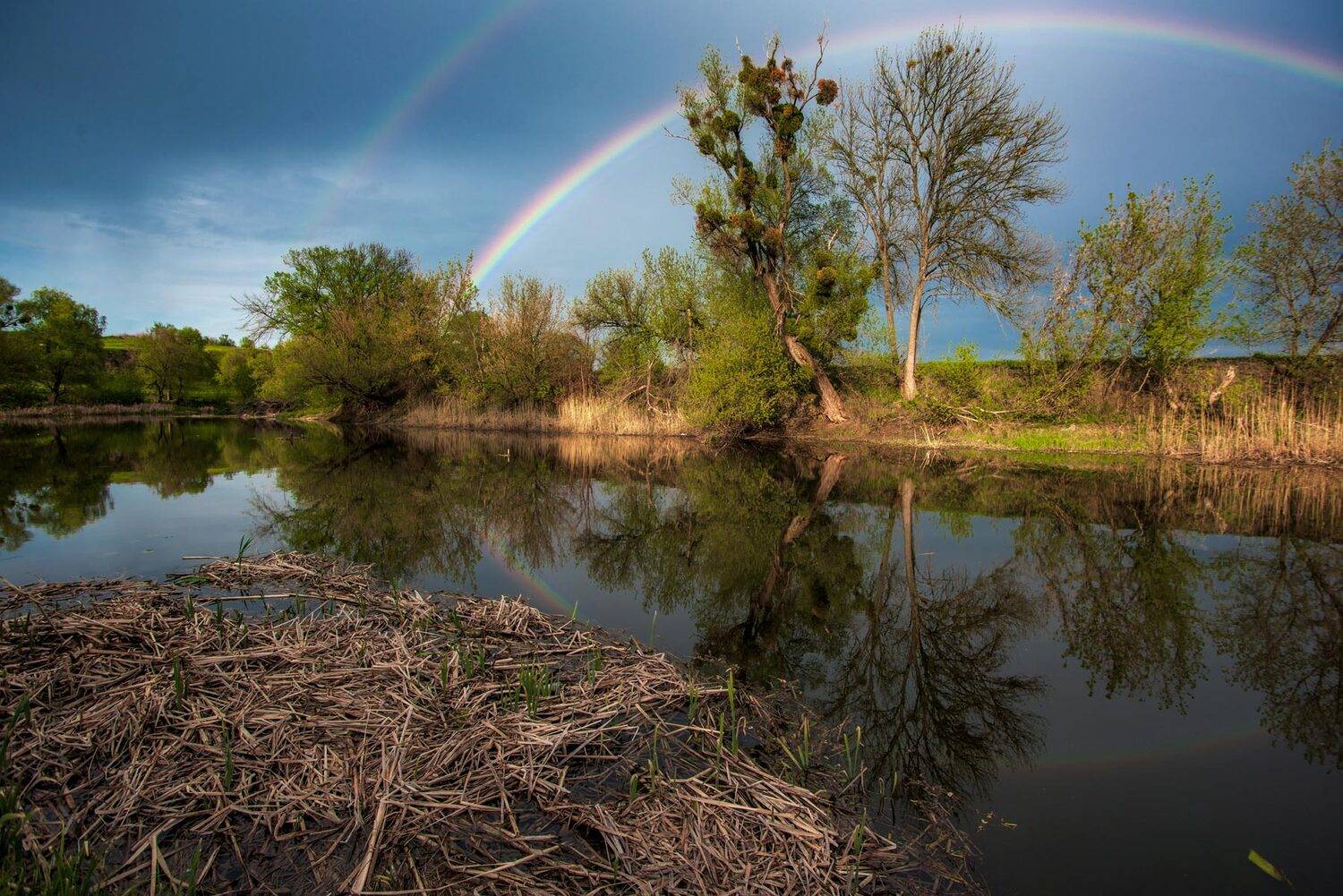, Юрий Юрьев