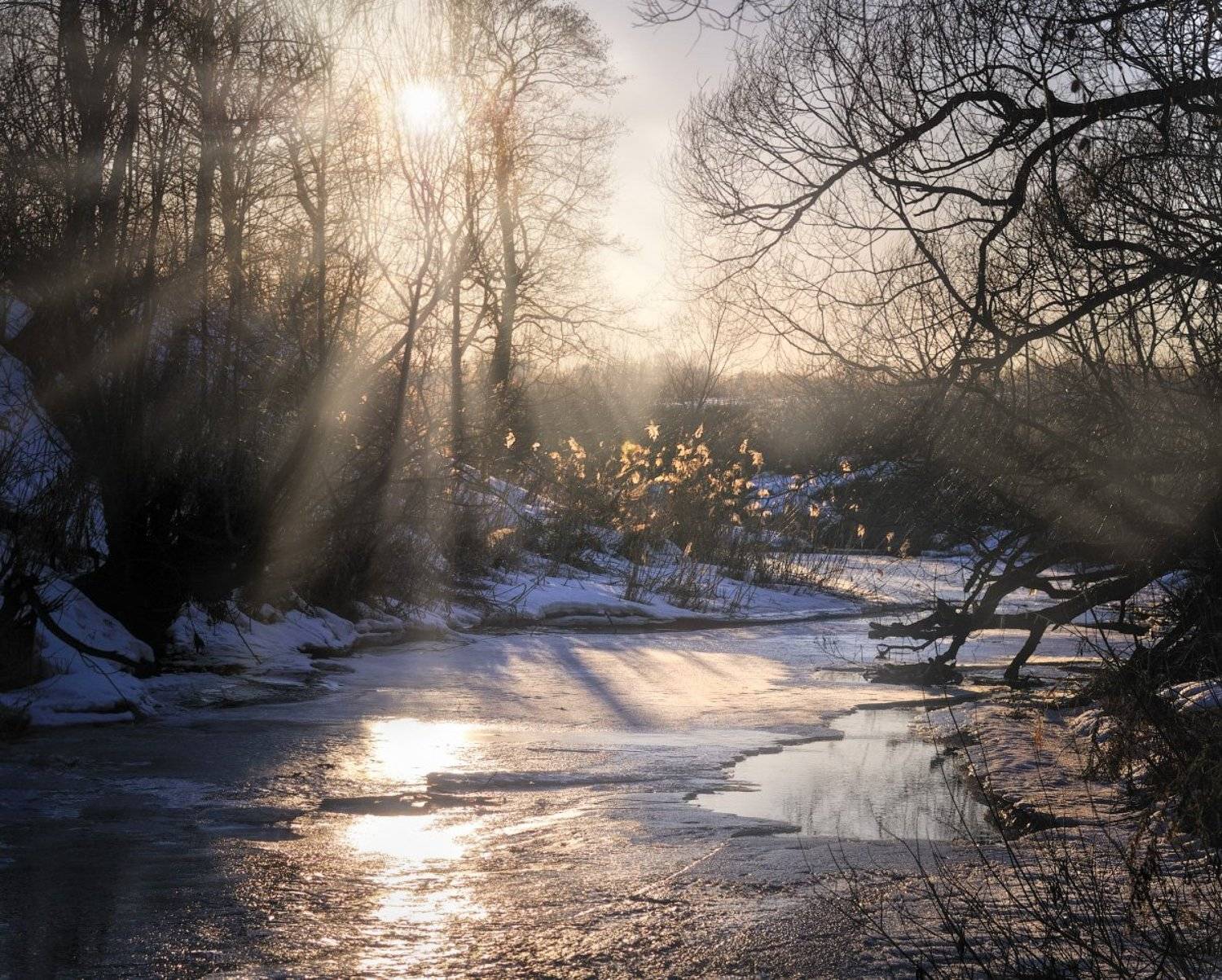 тула, тулица, Сергей Кочергин