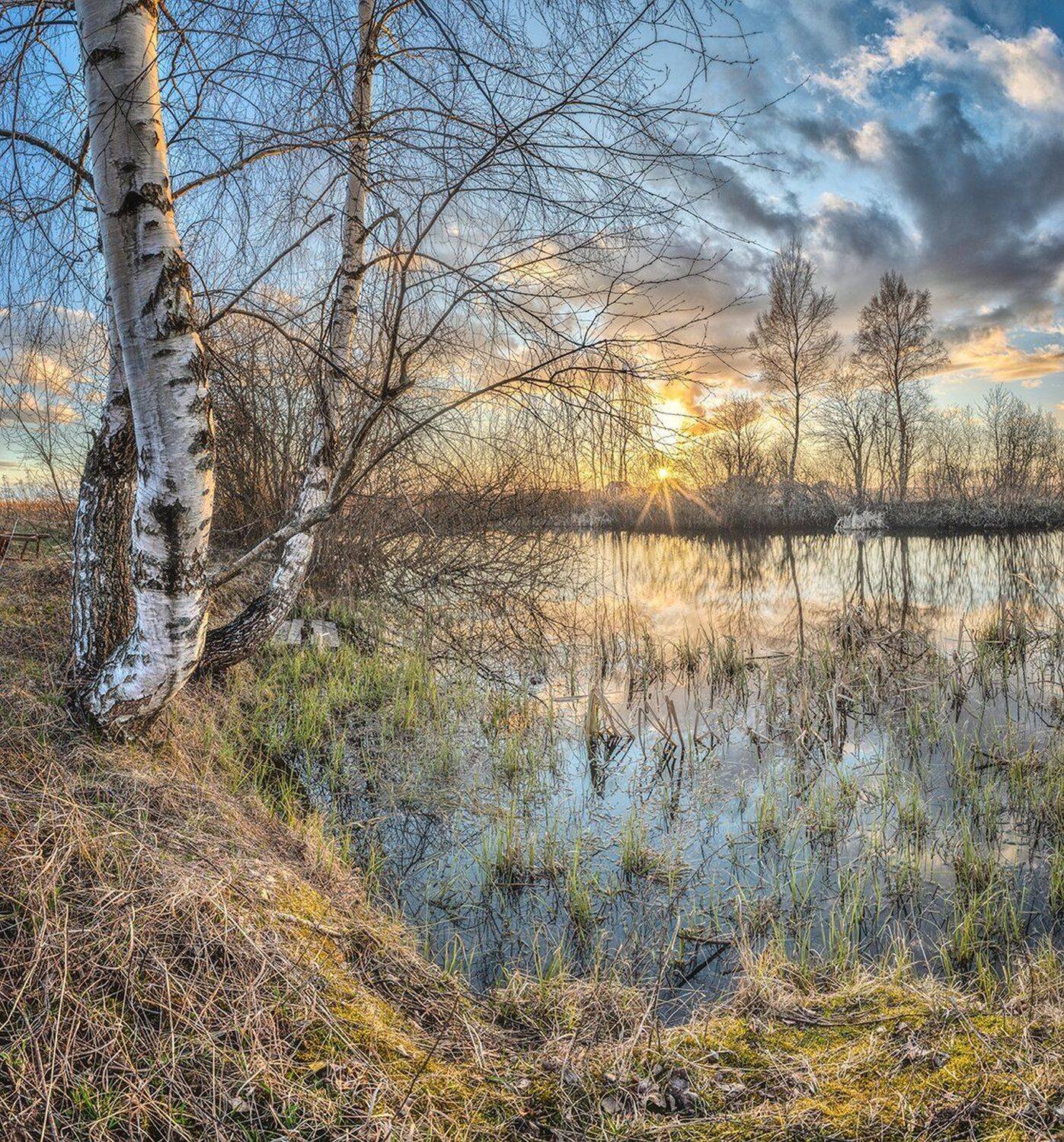 , Николай Андреев