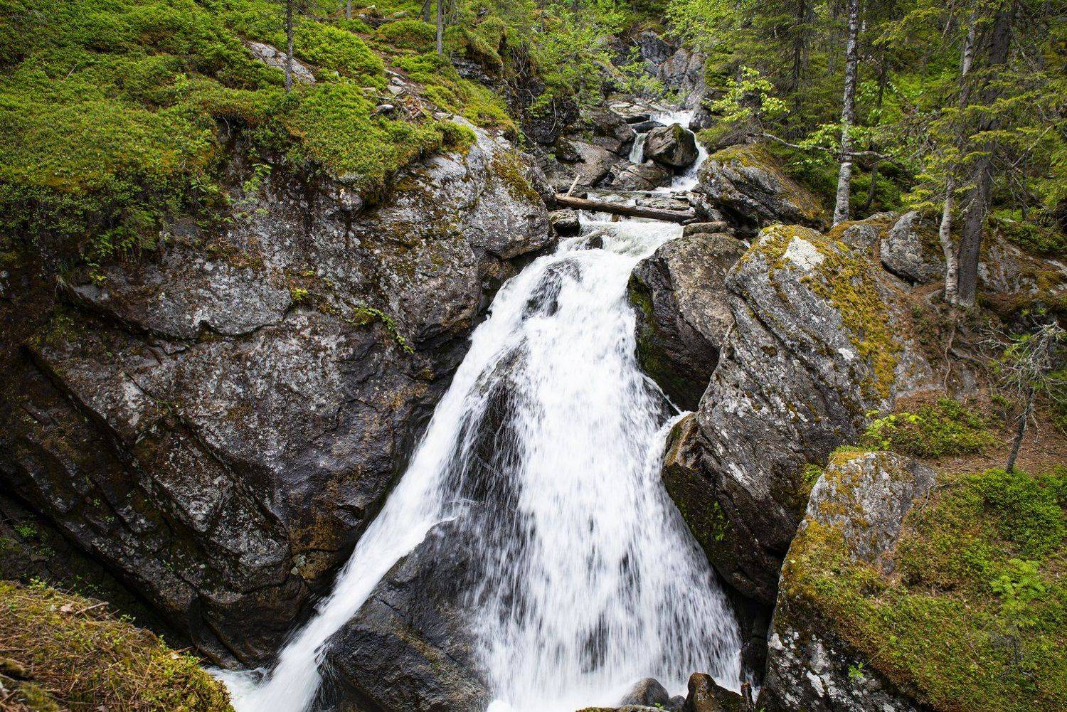 , Ольга Лукахина