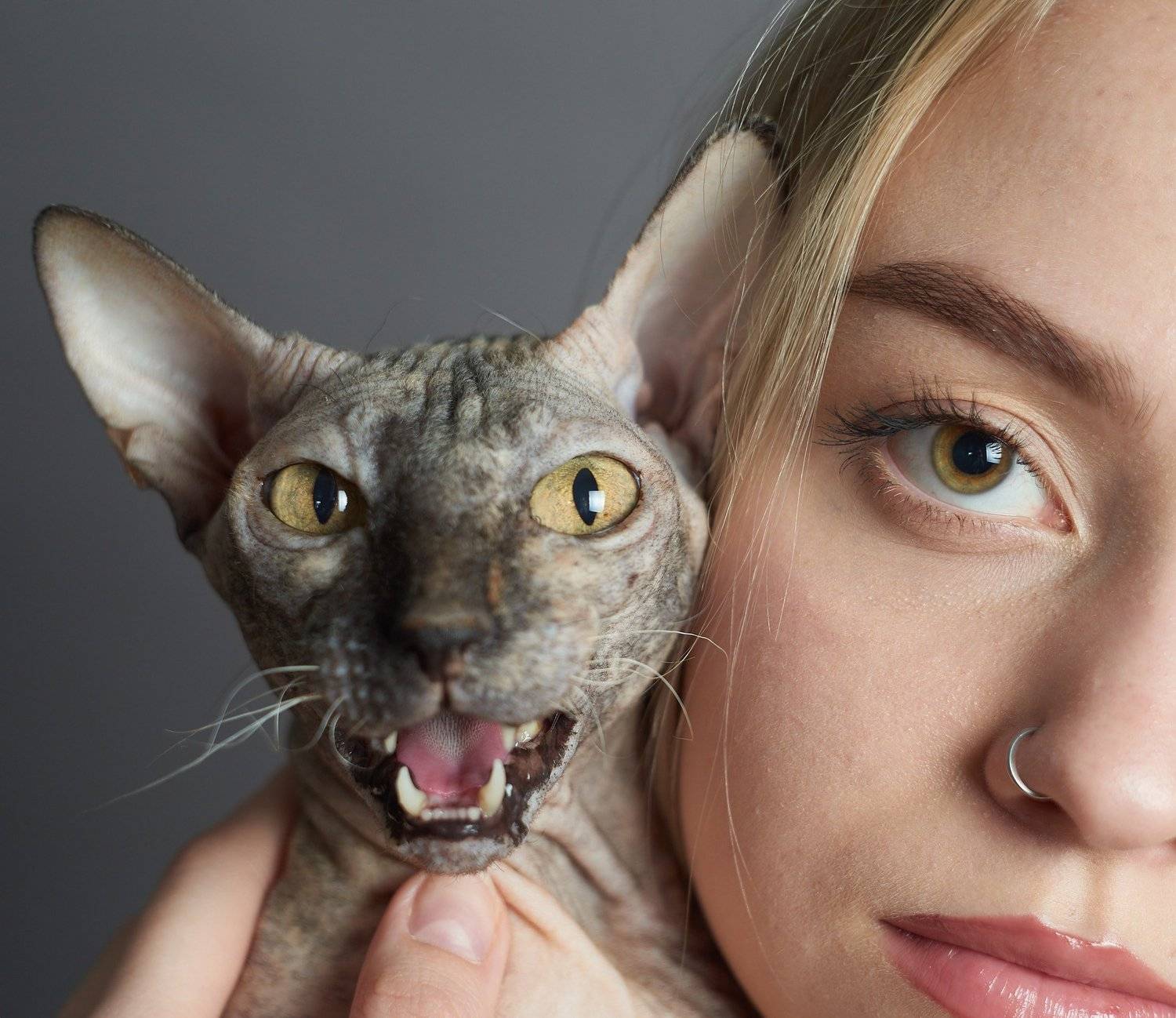 , Вячеслав Владимирович