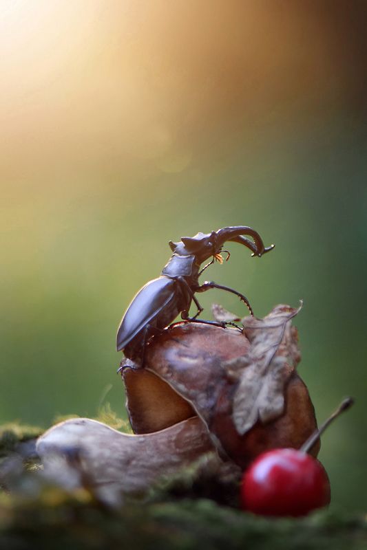 \'One Day the Sun Will Shine on You\' / фото превью