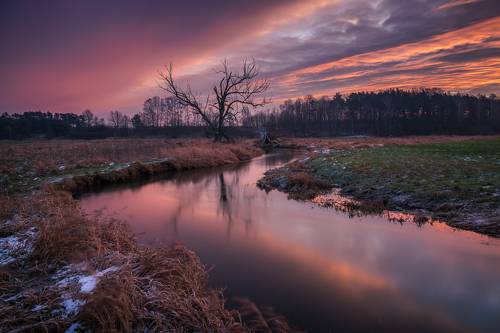 Winter morning on the Jeziorka River