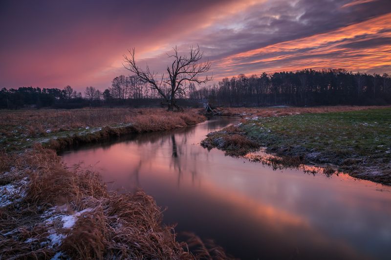 river, jeziorka, poland, morning, winter, sunrise, dawn, clouds, landscape, nature Winter morning on the Jeziorka River фото превью