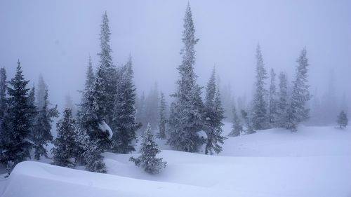 Шерегешские туманы.