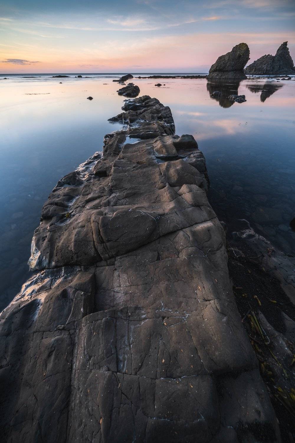 , Виктор Пацар