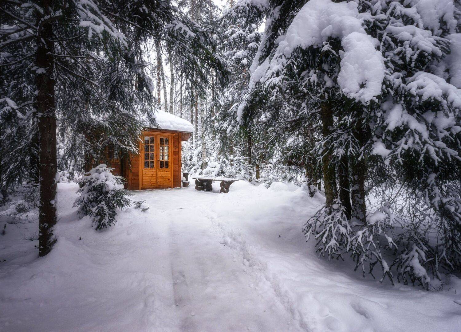 , Алексей Герасимов