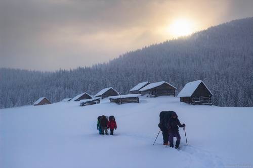 Пробивая тропу