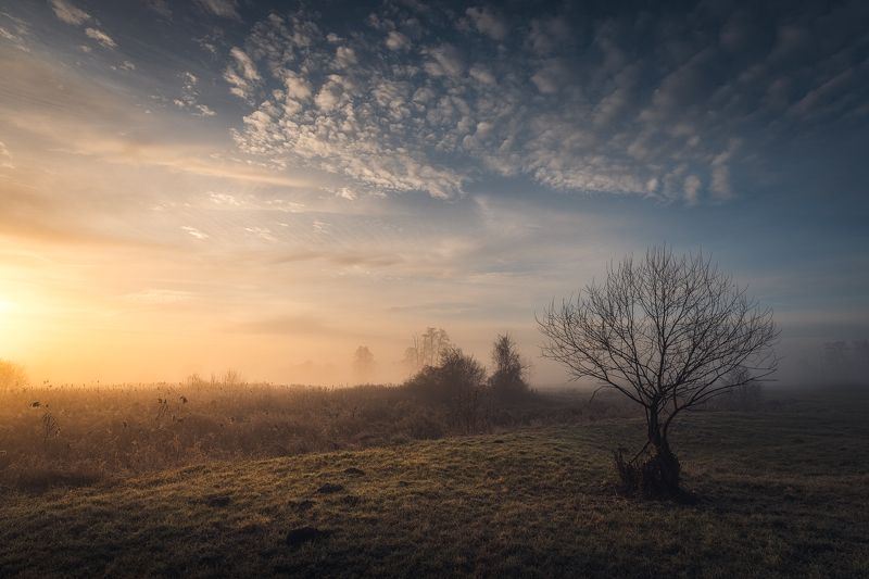 quiet morning фото превью