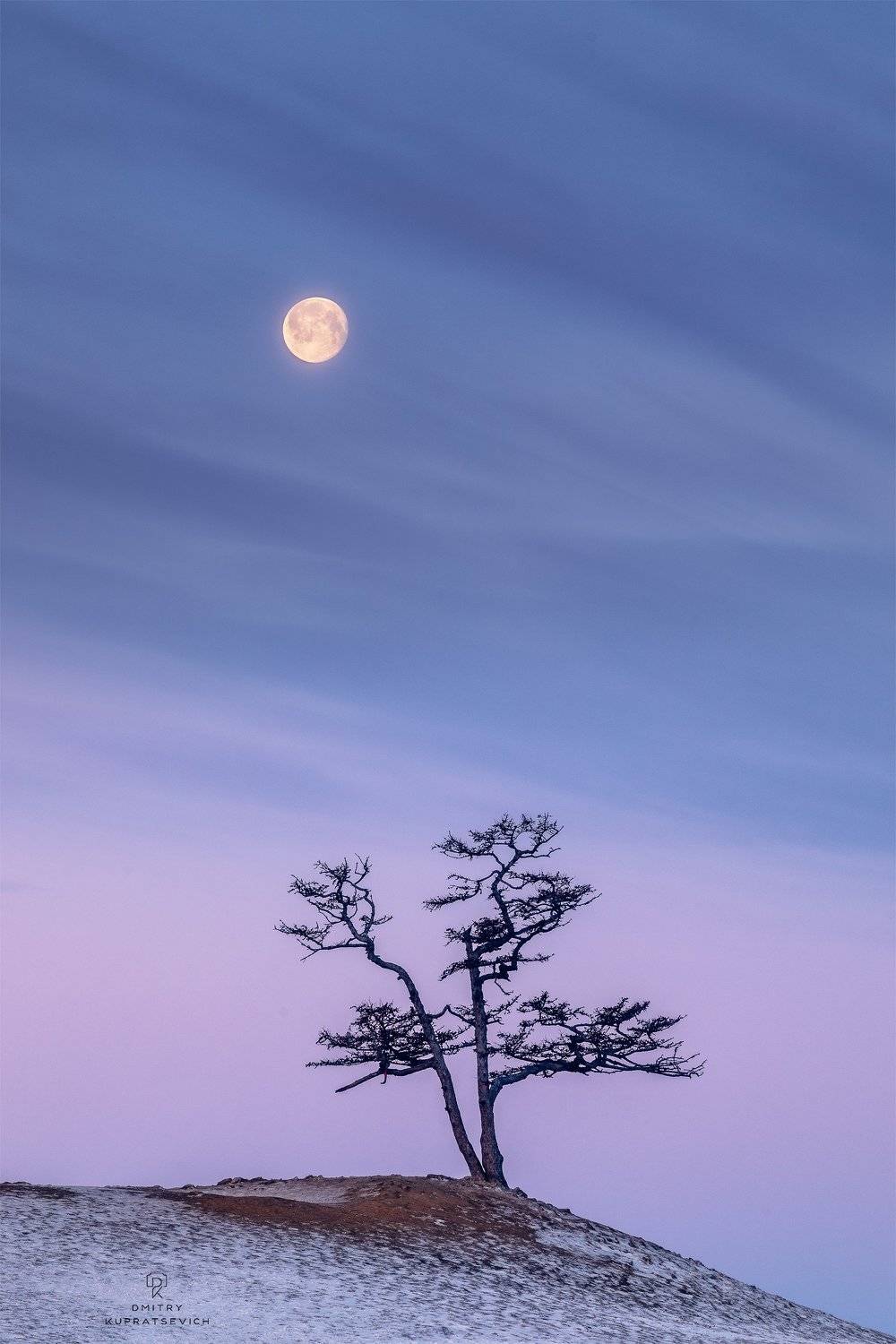 , Дмитрий Купрацевич