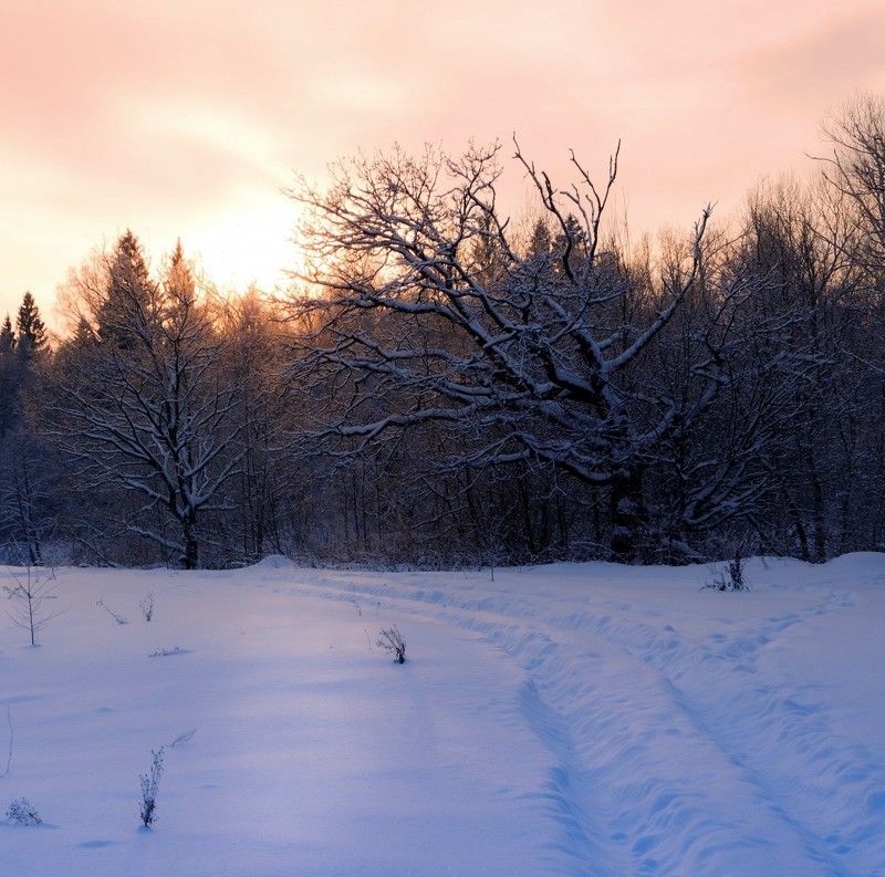 *** фото превью