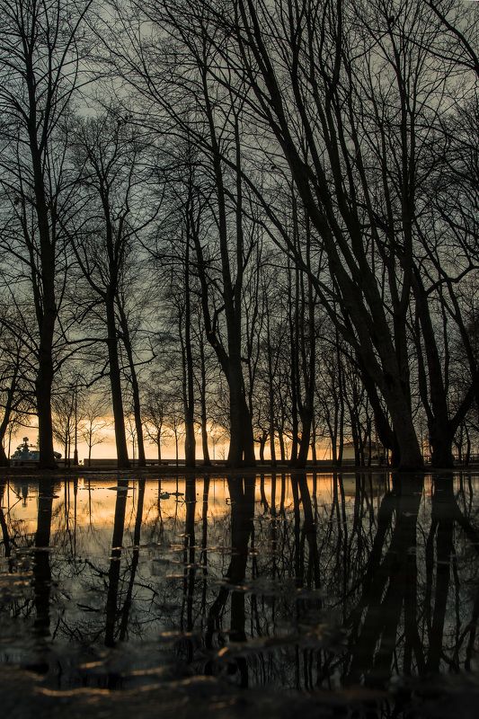 весна, парк, разлив, пейзаж Весеннее зазеркалье фото превью