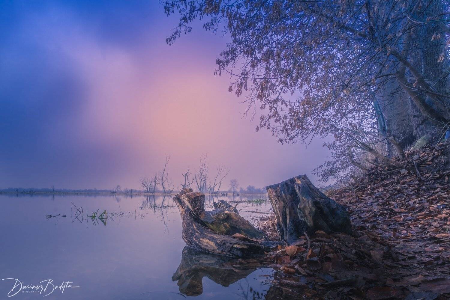 , Dariusz Budyta