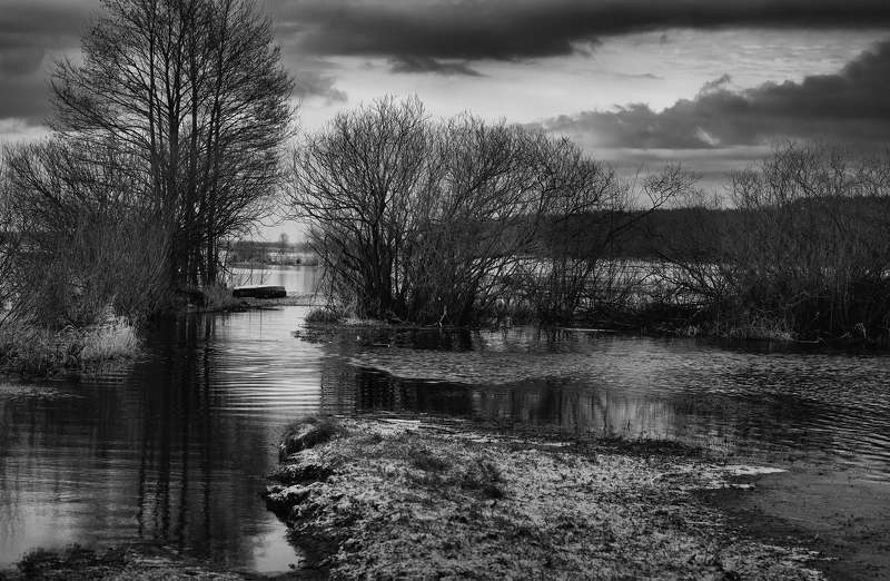 River Narew фото превью