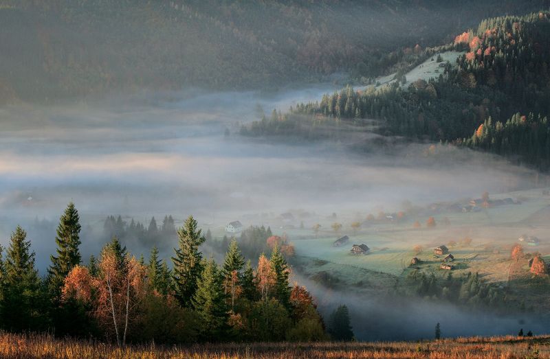Утренние туманы фото превью