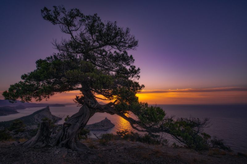 крым, новый свет, рассвет, crimea, dawn * * * фото превью