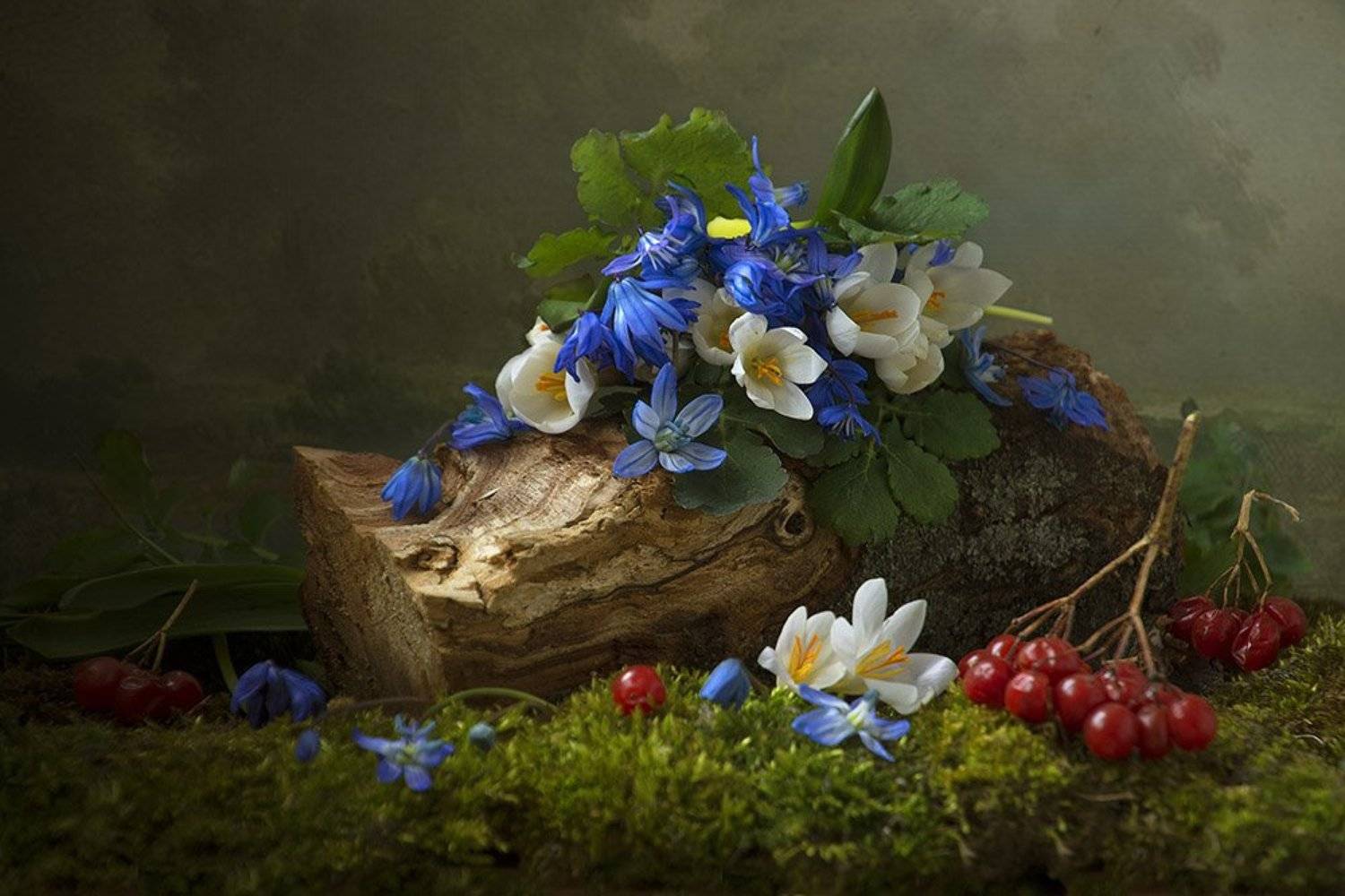 натюрморт с с пролесками,весна,букет,голубые,синие цветы,художественное фото,искусство., Людмила Костюченко