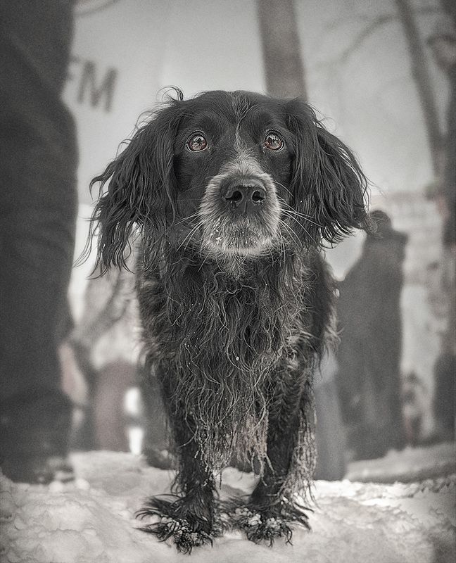 Ищу друга фото превью