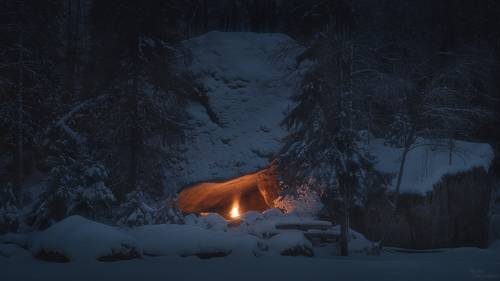 Зимний костёр