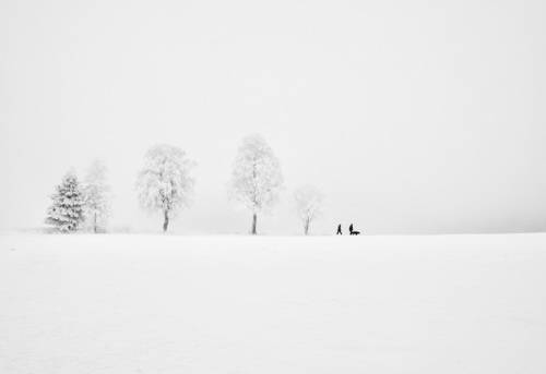 На прогулку