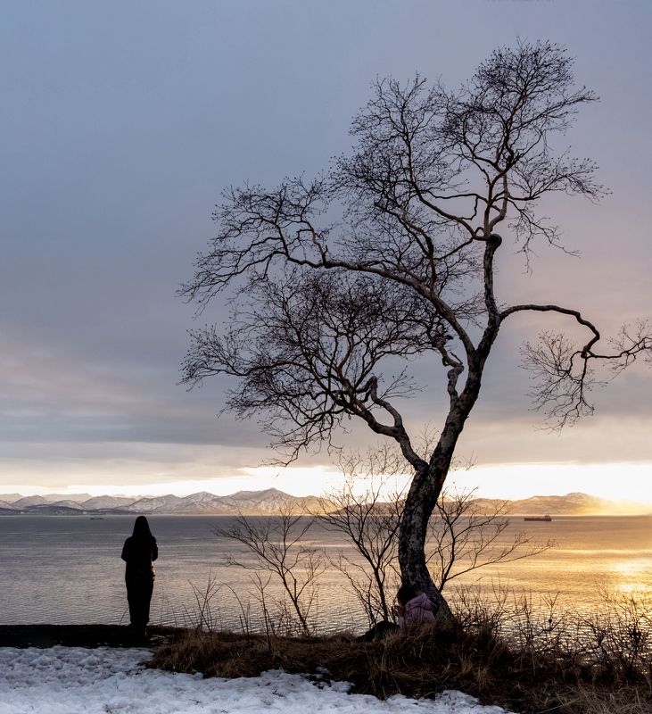 Kamchatka  фото превью