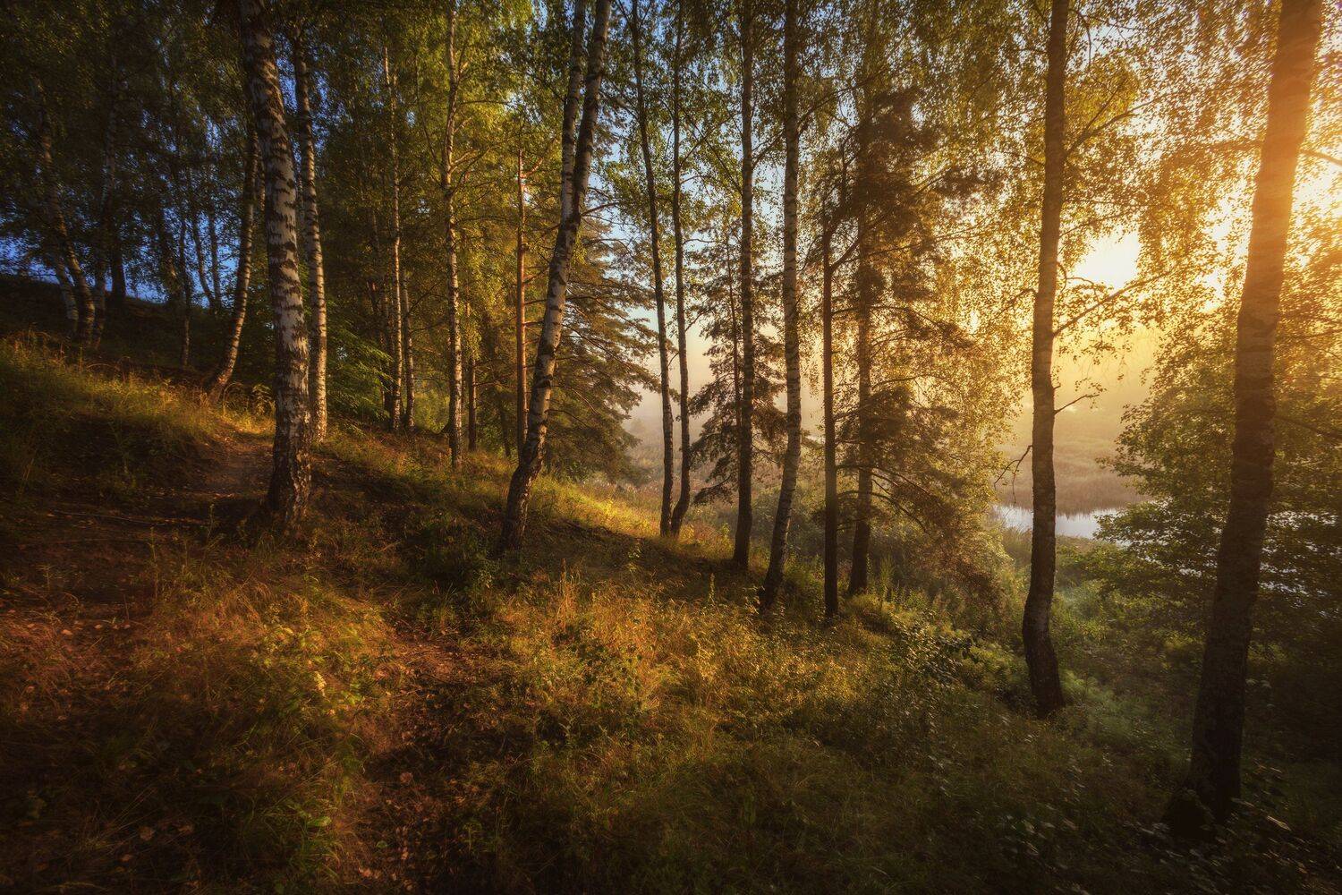 озеро, горы, лес, природа, закат, рассвет, красота, приключения, путешествие, Шевченко Николай