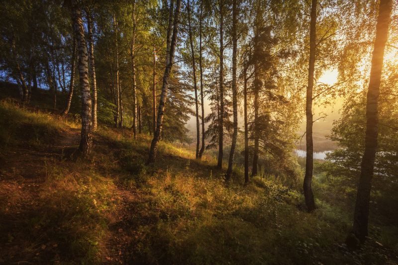 Запахом утра наполни свой день ! фото превью
