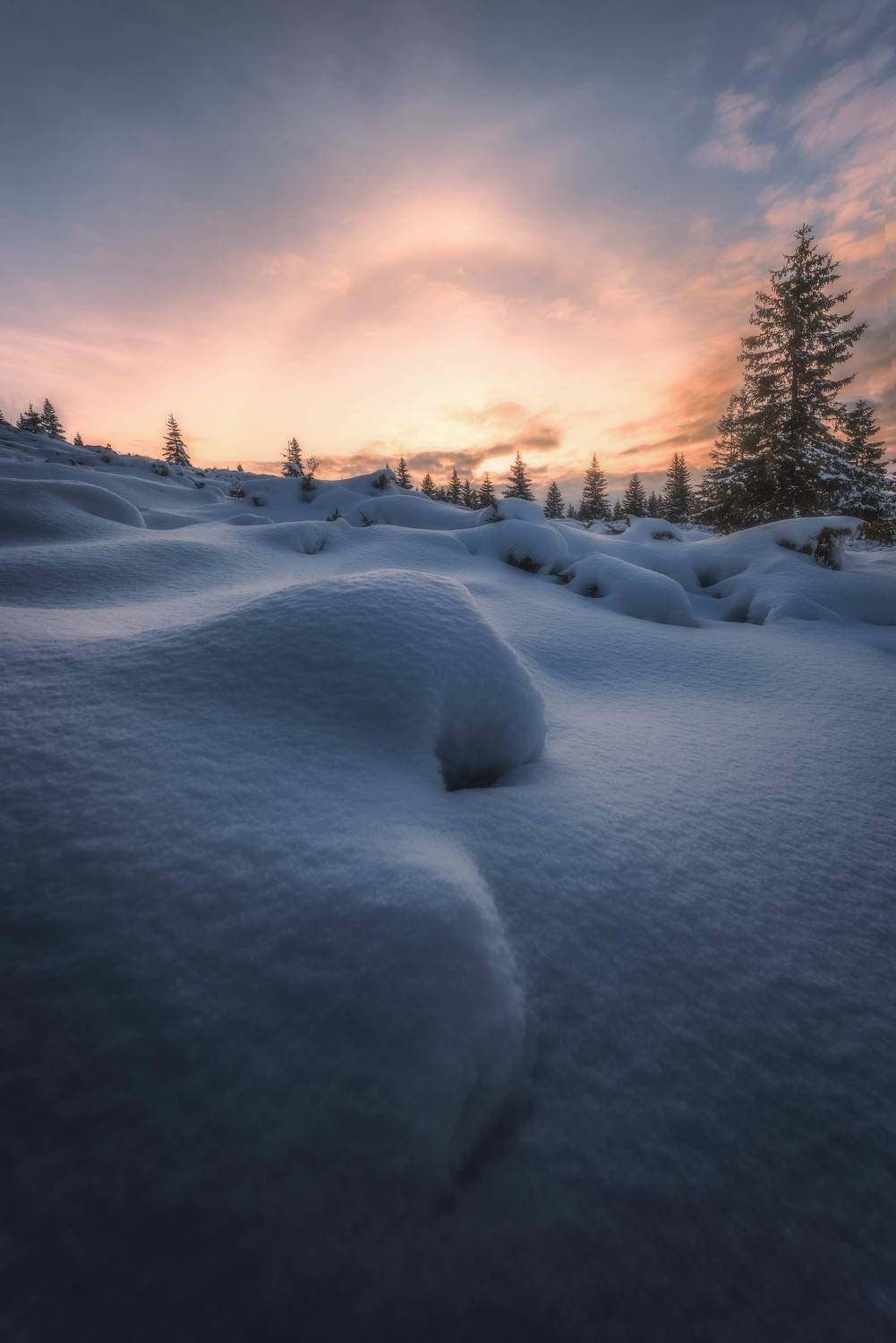 #landscape#nature#winter, Dimo Hristev