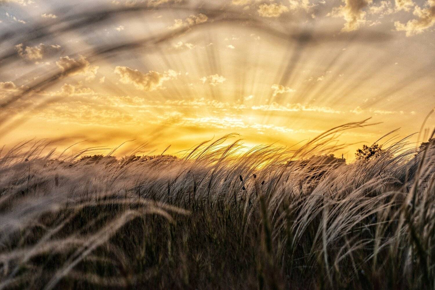 , Андрей Кривцов