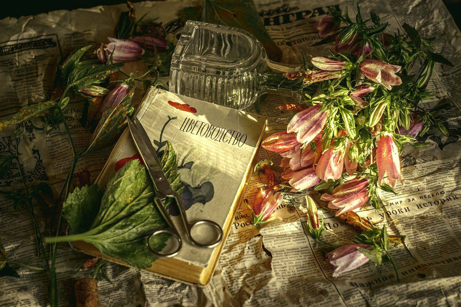 , Рут Андрей